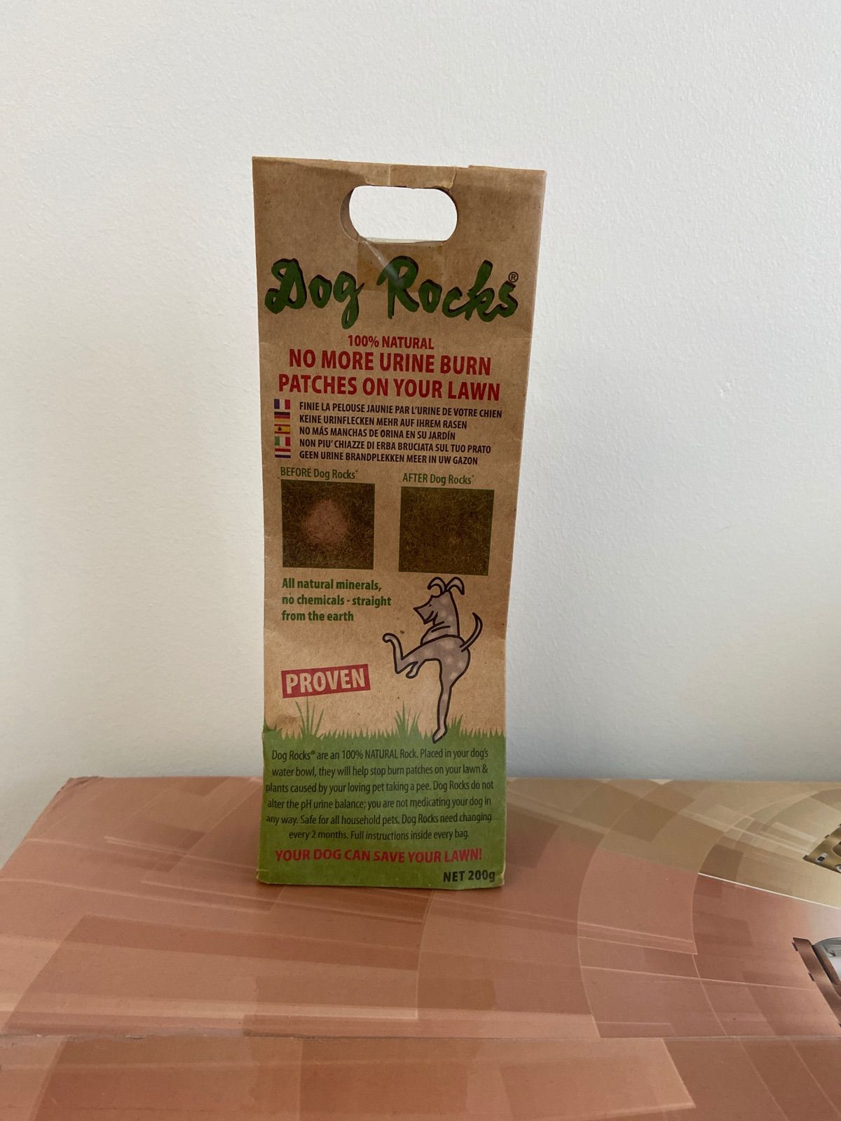 are dog rocks safe