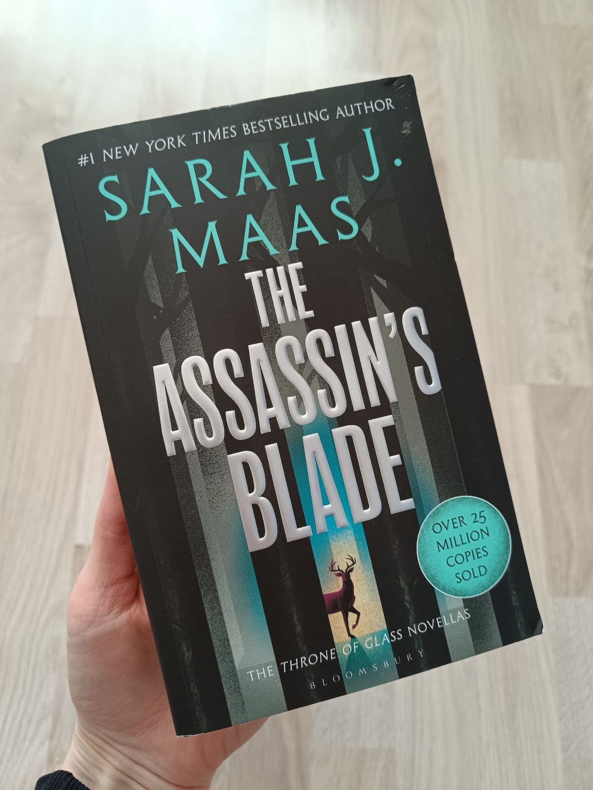 The Assassin's Blade
